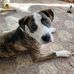 Amy Hightower - Facebook