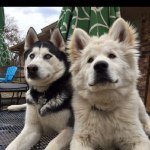 Amy Hightower Eaves - @amy_hightower_eaves - Instagram