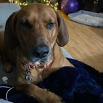 Amy Shorty-Hiller - @shortysfam - Instagram