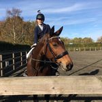 Amy Hilliard 🏴󠁧󠁢󠁥󠁮󠁧󠁿💓 - @ah_equestrianx - Instagram