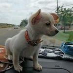 Amy Nance Hilliard - @amy_k_hilliard - Instagram