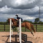 𝑨𝒎𝒚 𝑯𝒊𝒍𝒕𝒐𝒏 - @amy.hiltonb.eq - Instagram