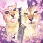 amy - @_amyhobson - Instagram