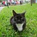 Amy Hobson - Facebook