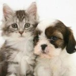 Amy Holcombe - @didus1365 - Instagram