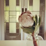 Amy Holding - @houseofholding - Instagram