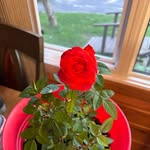 Amy Houle-Bukovic - @houlebukovic - Instagram