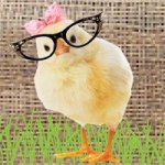Amy Ronek - @thegrassychicks - Instagram
