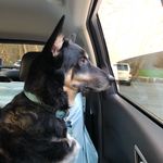 Amy Roneker - @aroneker13 - Instagram