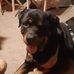 Amy Hubbell - Facebook