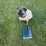 Amy Hubbell - @alhubbell5 - Instagram