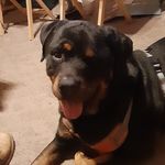 Amy Hubbell - @amyhubbell - Instagram