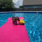Amy McNatt Hubbell - @08grammy - Instagram