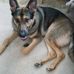 Amy Miller Husted - Facebook
