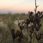 Amy Inskeep - @amyi0116 - Instagram