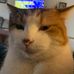 Amy Gerdes Iori - Facebook