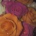 Amy Irvin - Facebook