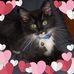 Amy Izzo - Facebook