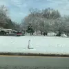 Amy Jacinto - @amy.jacinto0 - TikTok