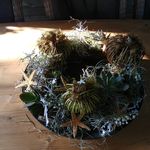 Amy Jansen - @amy.jansen.52 - Instagram