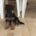 Amy Jasper Lorenz - @amy_jasper_lorenz - Instagram