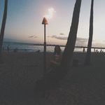 Amy Jeffries - @amycjeffries - Instagram