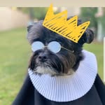 Amy Joy Cegielski - @amyjoycegielski - Instagram