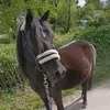 Amy_jump - @amy_jump - TikTok