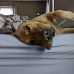 Amy Jump Roberge - @amy9394 - Instagram