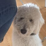 Alf Prøysen/alfa❤️ - @amykarlsenbergseth05 - Instagram