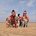 Amy Kee - @amykee7 - Instagram