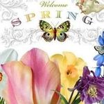Amy Galloway Keefer - @lightblueandred - Instagram