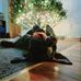 Amy Konitzer - Facebook