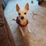 Amy Kirschbaum Kartman - @kartmanamy - Instagram