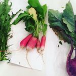 Amy Kiser, MBA, FNTP, BCHN - @autoimmuneeating - Instagram