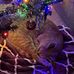 Amy Knauf - Facebook