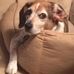 Amy Knauf - Facebook