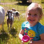 Amy Knopf - @amyjknopf - Instagram