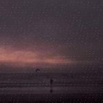 Qing Jakoby - @amyknopf481 - Instagram