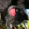 amyknowles781 - @amyknowles781 - TikTok