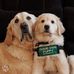 Amy Koop - Facebook