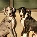 Amy Kraft - Facebook