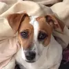 Amy Kruger - @amykruger - TikTok