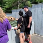 Amy Kuchler - @amy_kuchler - Instagram