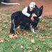 Amy Lamoreau - Facebook