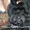 Amy Lander - @amylander1 - TikTok