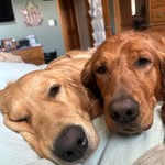 Amy Kelly Landon - @amy.landon.12 - Instagram
