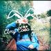 Amy Coco Lapin - Artiste - Facebook