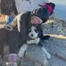 Amy LaRue - Facebook