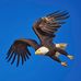 Amy Laube - Facebook